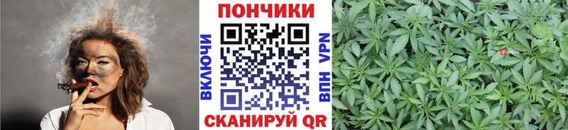 Где купить наркоту Надым Амфетамин  Мефедрон  A PVP  Кодеин  Бошки Шишки  ГАШИШ 