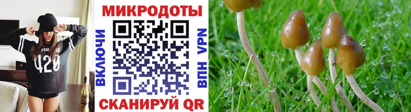 Галлюциногенные грибы MAGIC MUSHROOMS  Надым 